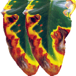 Previsoka temperatura