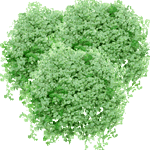 Družinska sreča