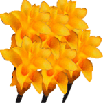 Kalateja