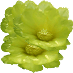 Parodija