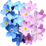 Spominčica