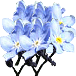 Spominčica