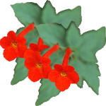 Talarčki